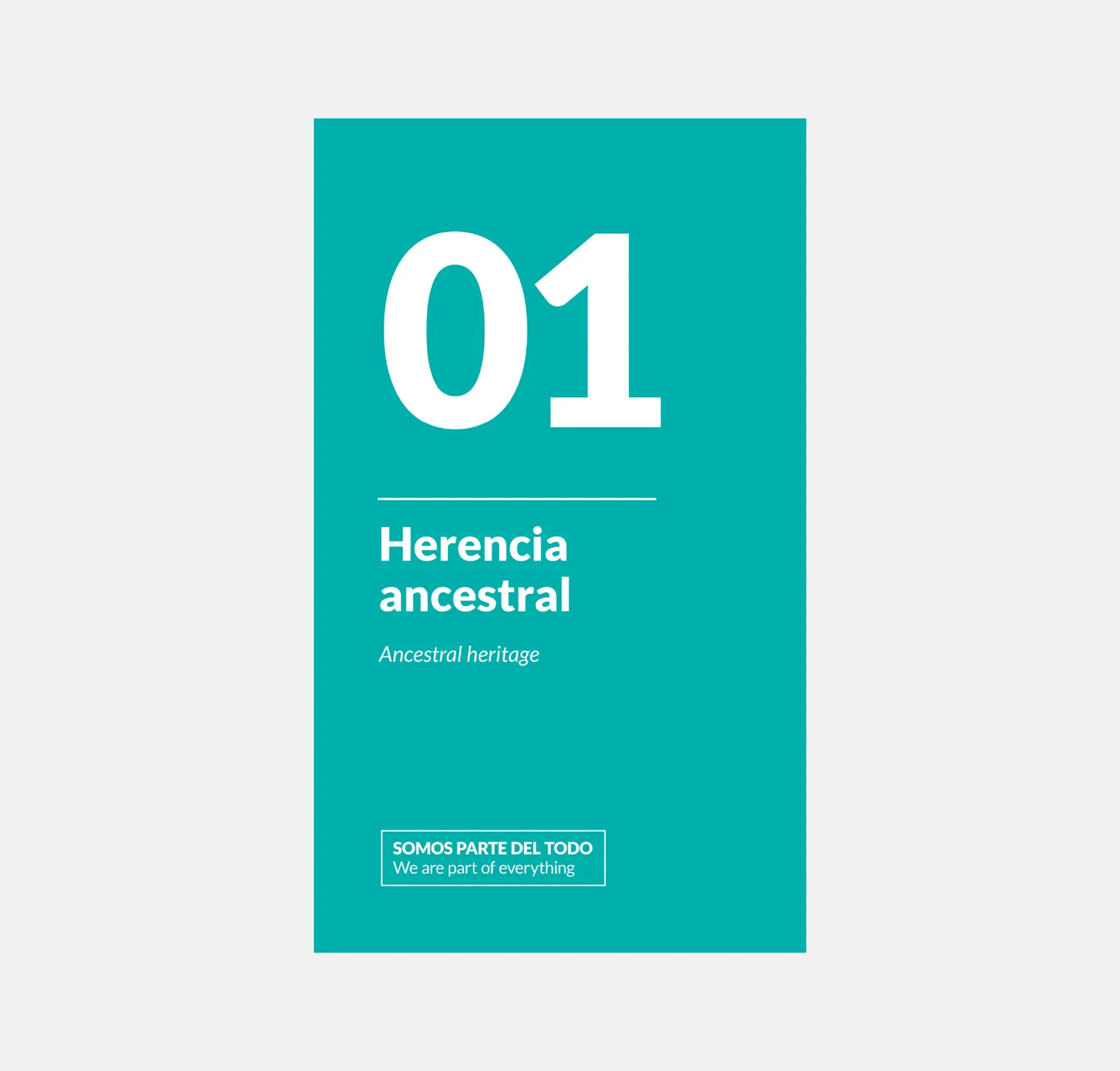 04-carteles.webp