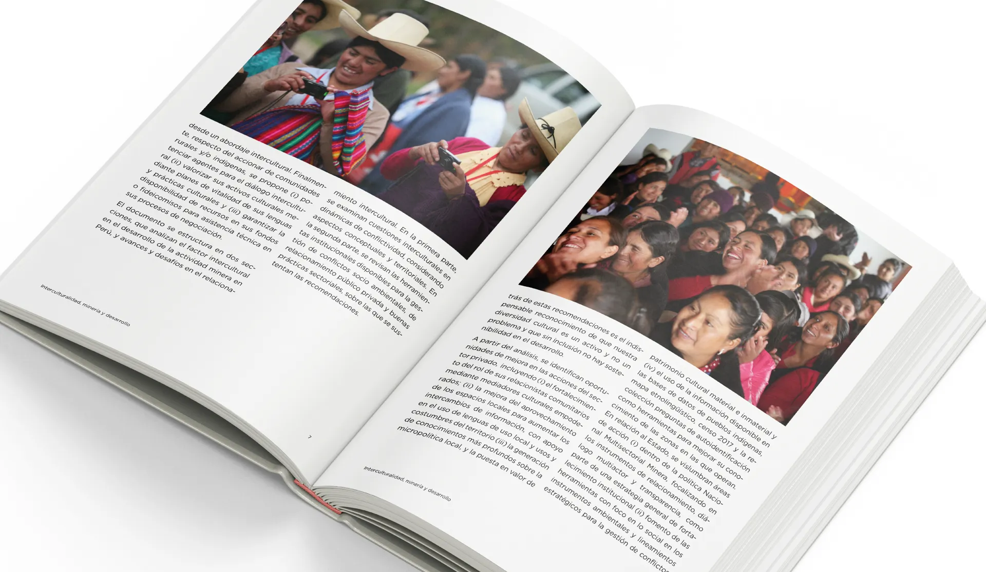 03-libro.webp