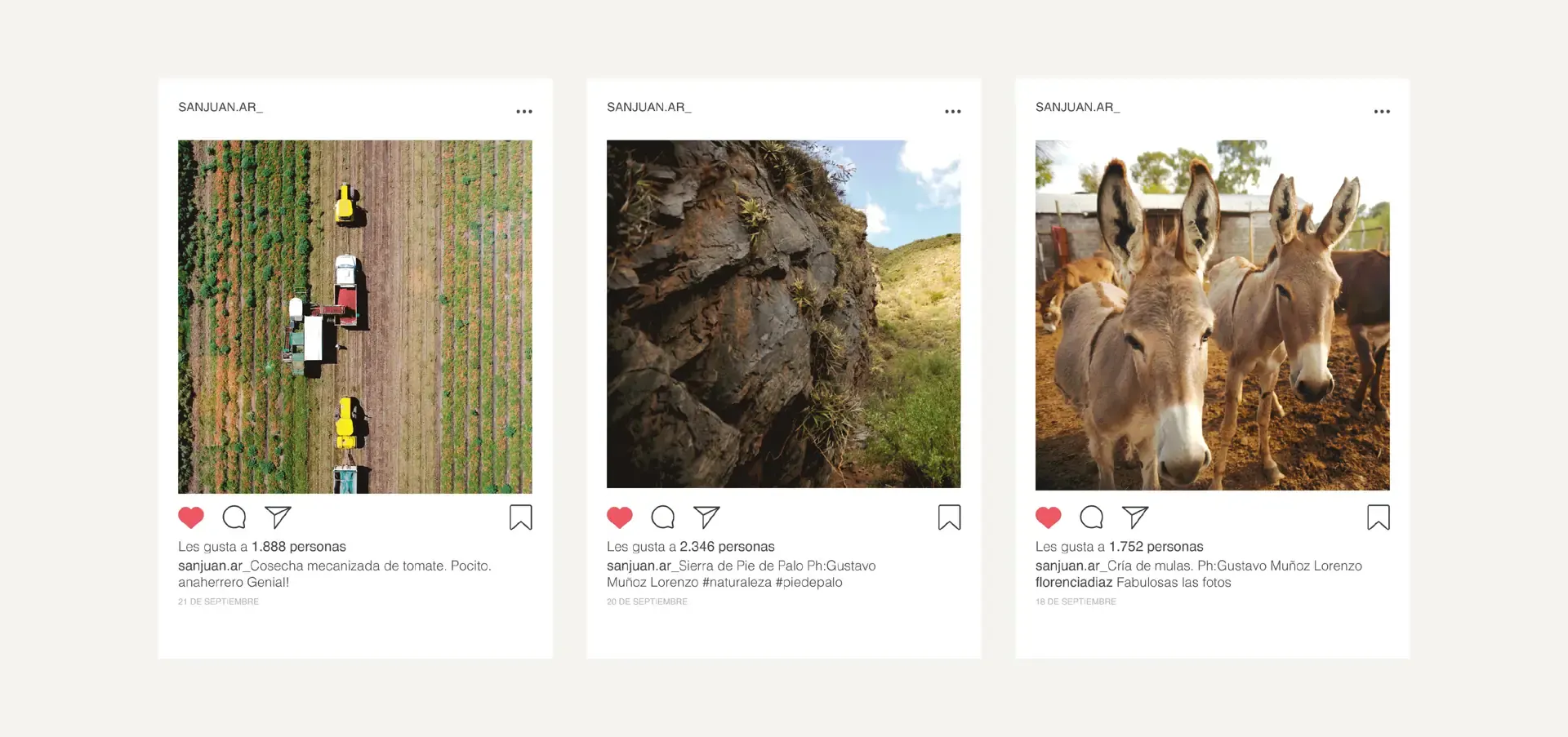 10-instagram.webp